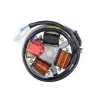 Produkt: STATOR  S51,SR50,S50 elektronik 6V SC